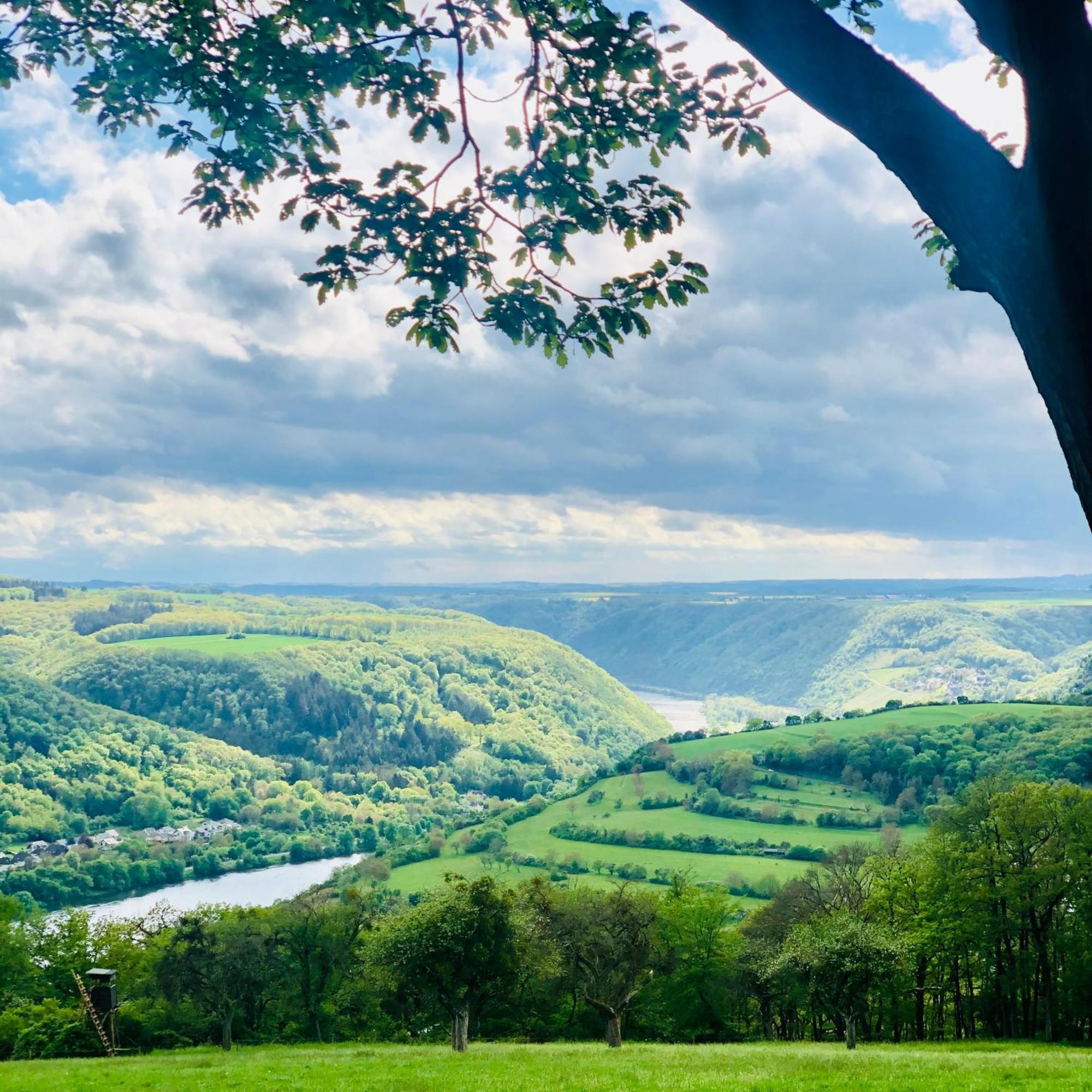 Mosel Quartier 32